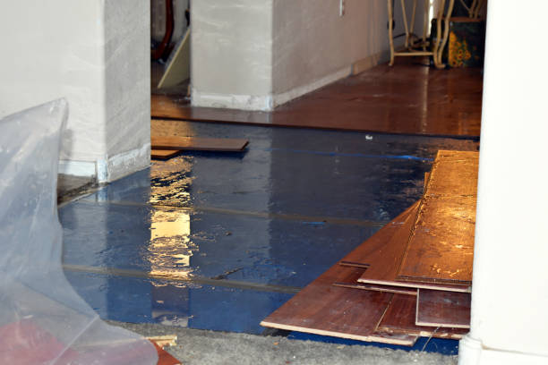 Professional Flood Cleanup technician working in Cherokee, NC